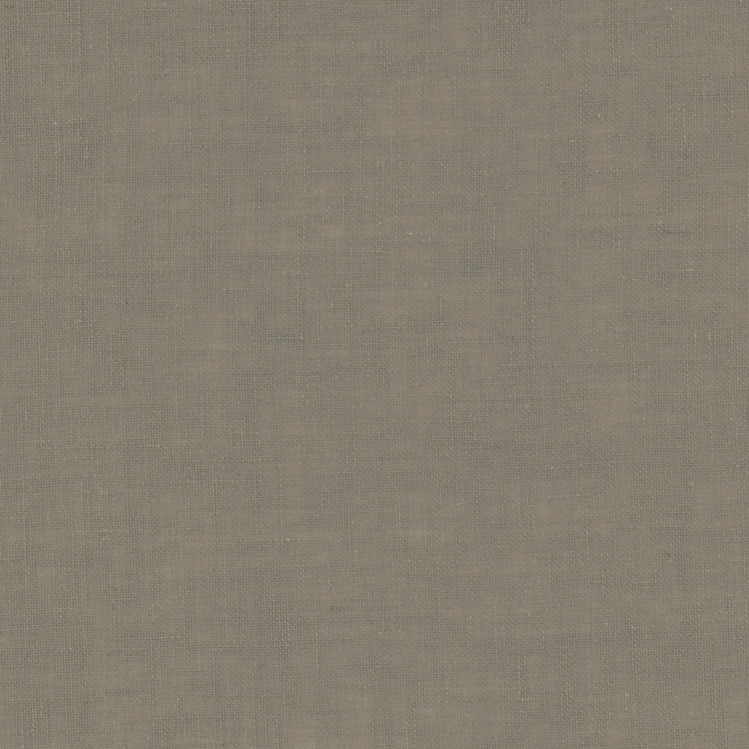 Grey 08 | Livia