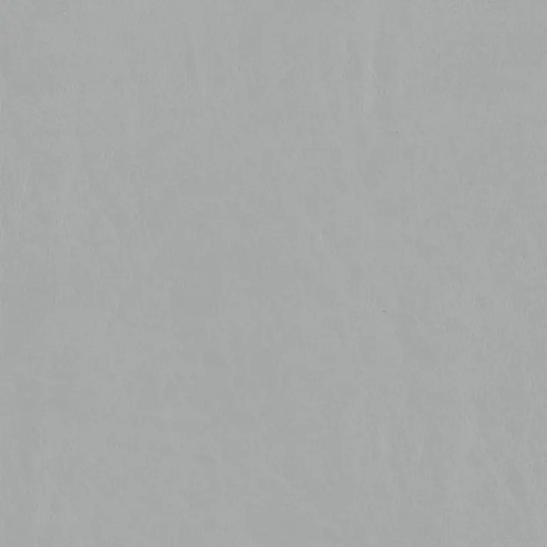 Mist  51