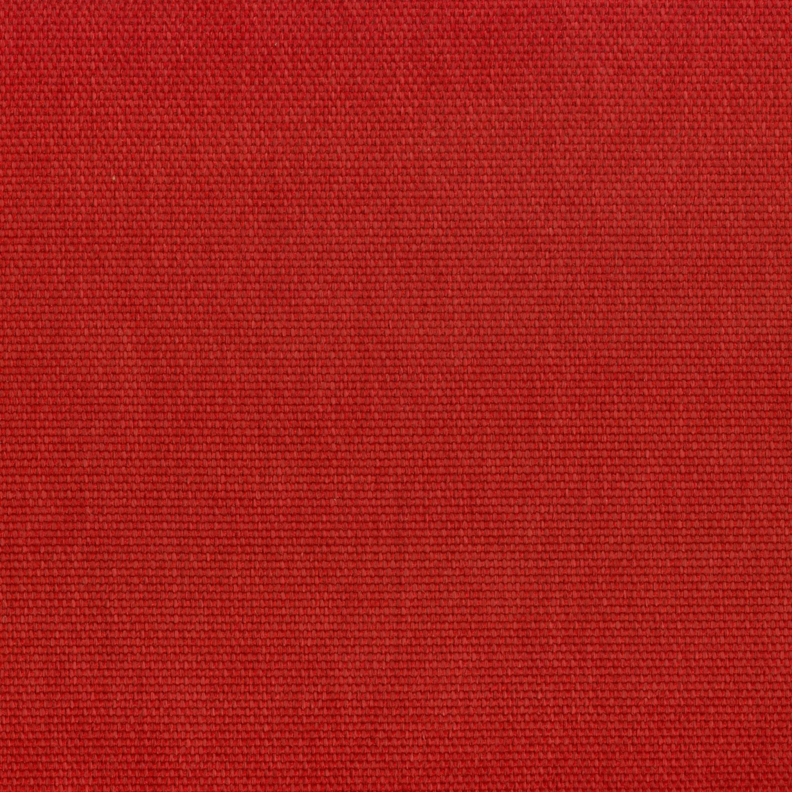 Raspberry 300 | Sarah