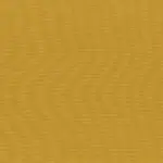 Amber Gold 32 | Linea