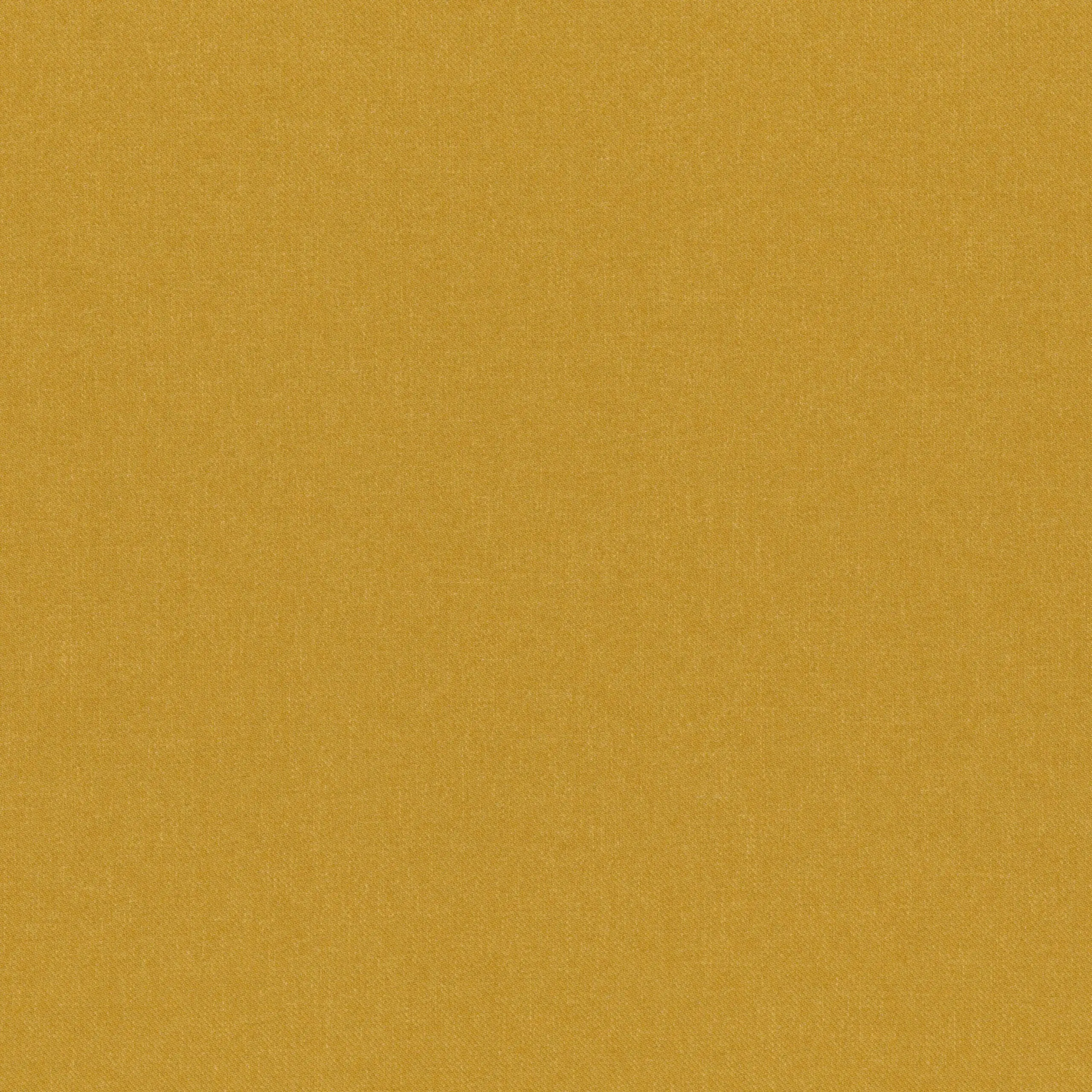 Amber Gold 32 | Linea