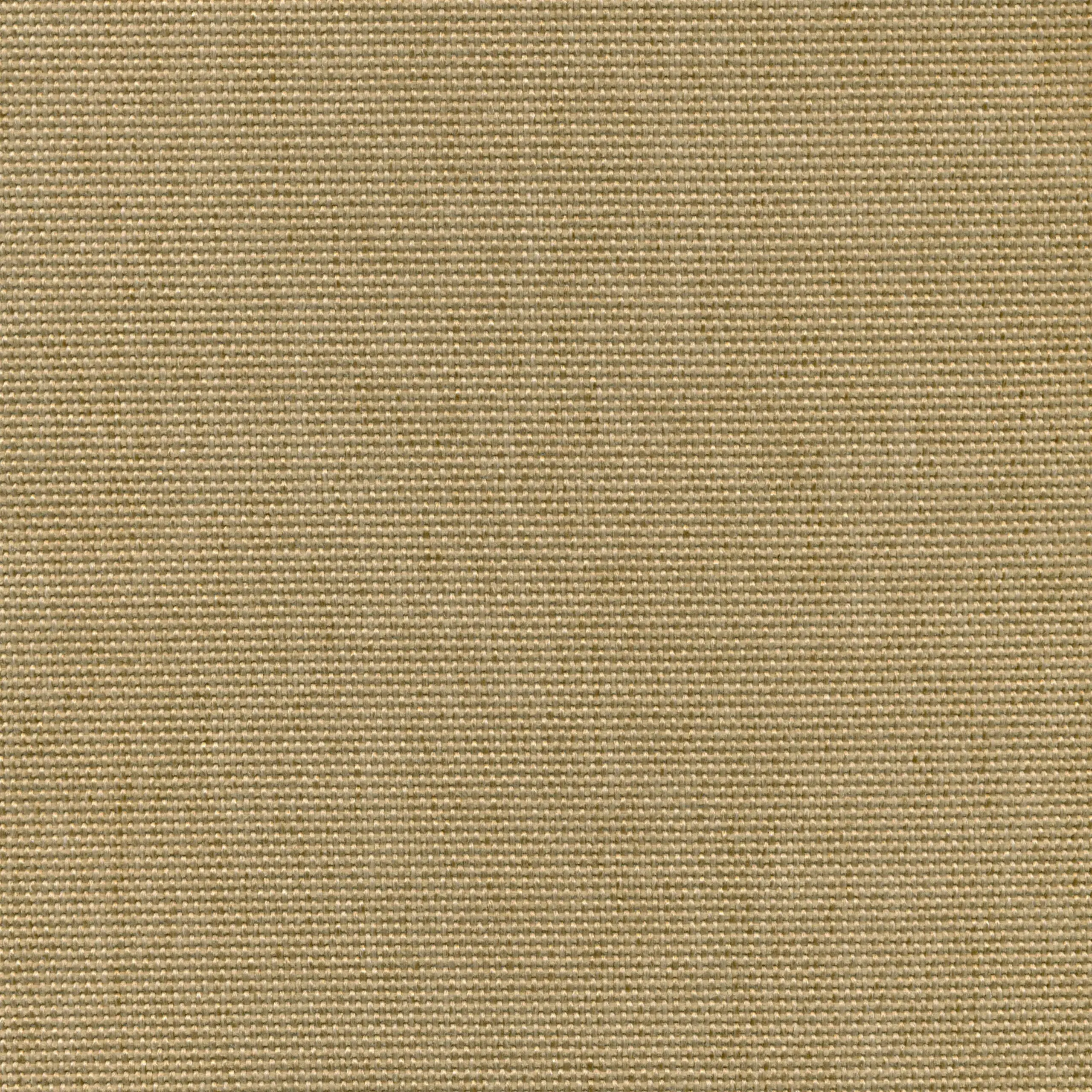 Beige 202 | Sarah