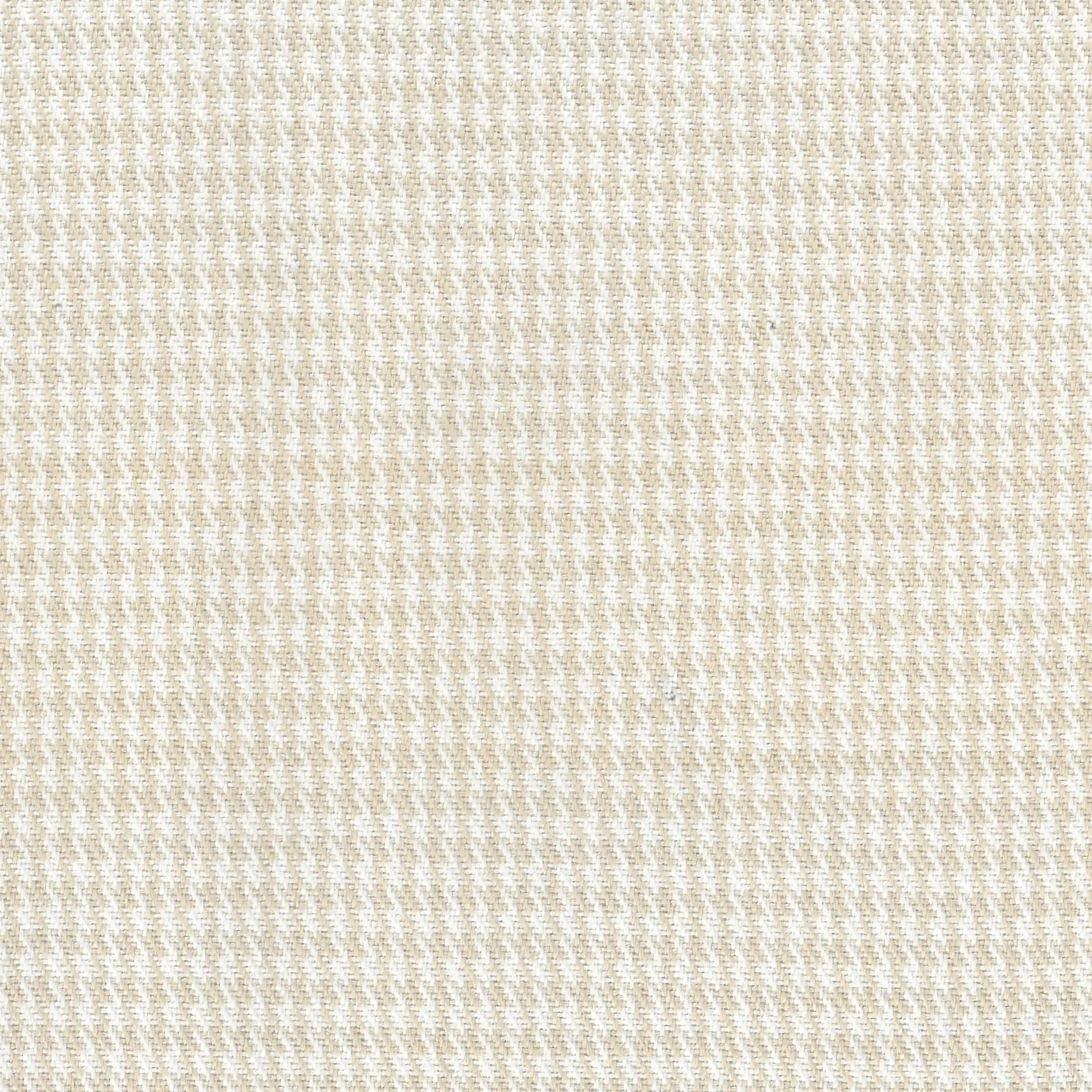 Sesame 360 | Pedro