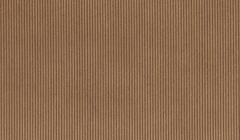 Cider 07