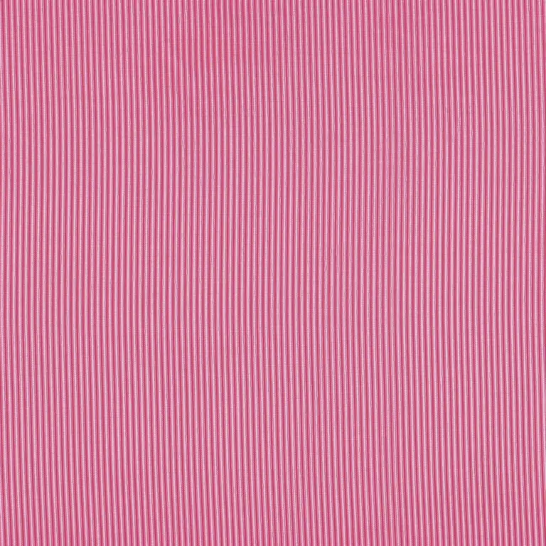Fuchsia 25