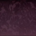 Violet 02 | Yvon