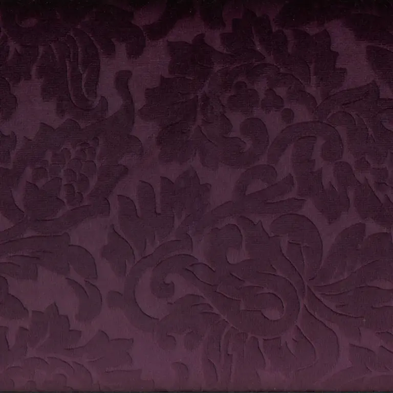 Violet 02