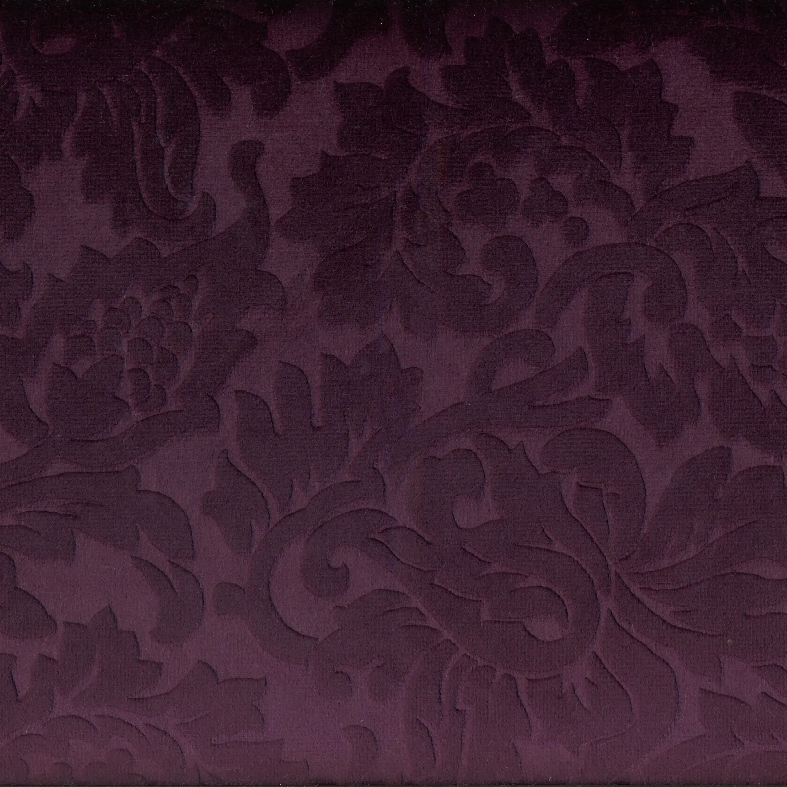 Violet 02 | Yvon