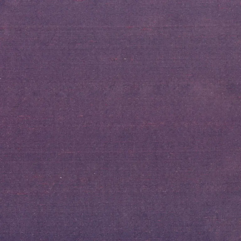 Parma 1557
