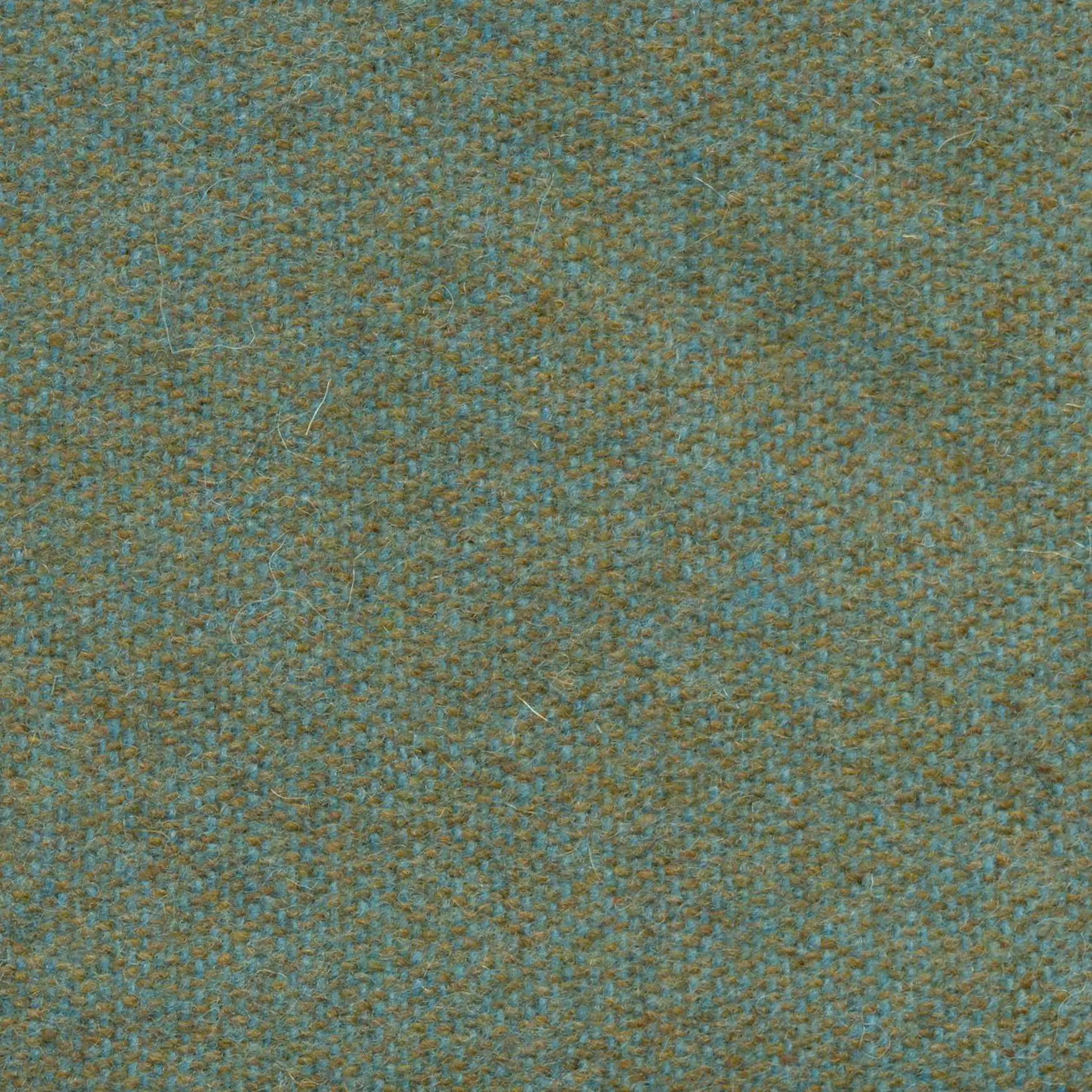 Cendre 542 | Savoy FR