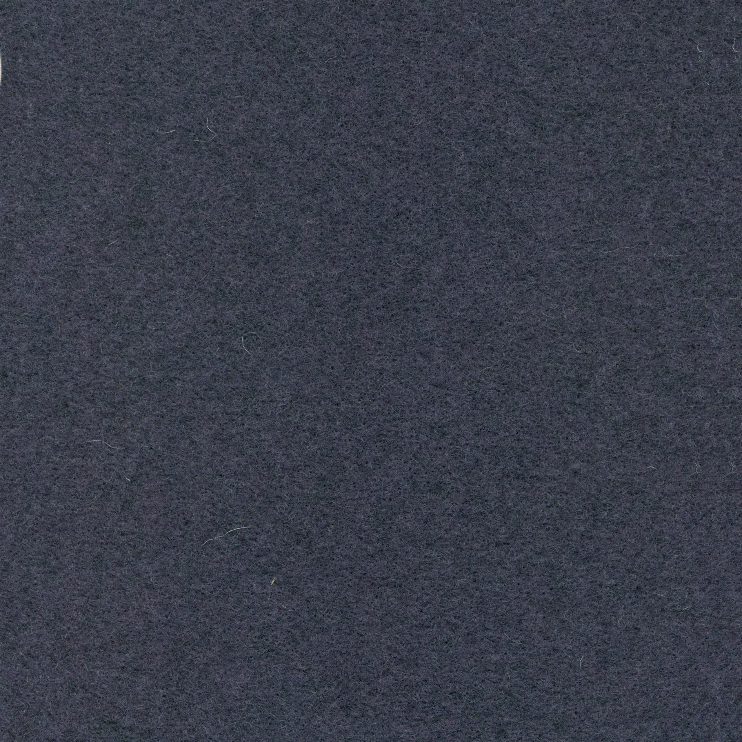 Indigo 993 | Walt