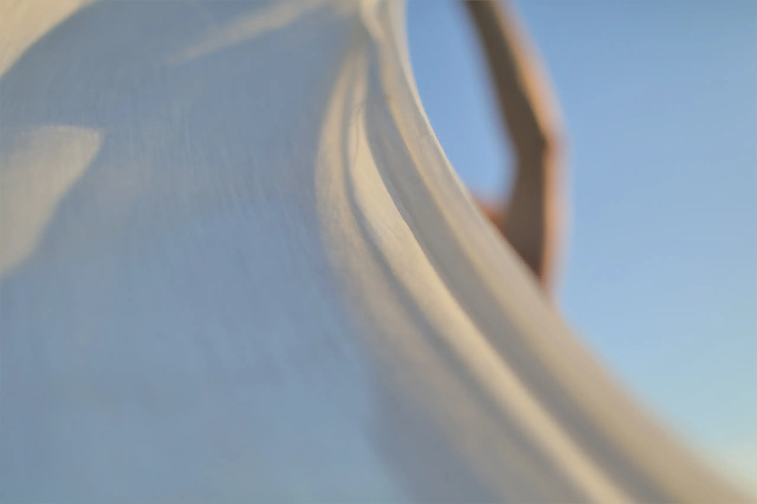 White 503 | Puro