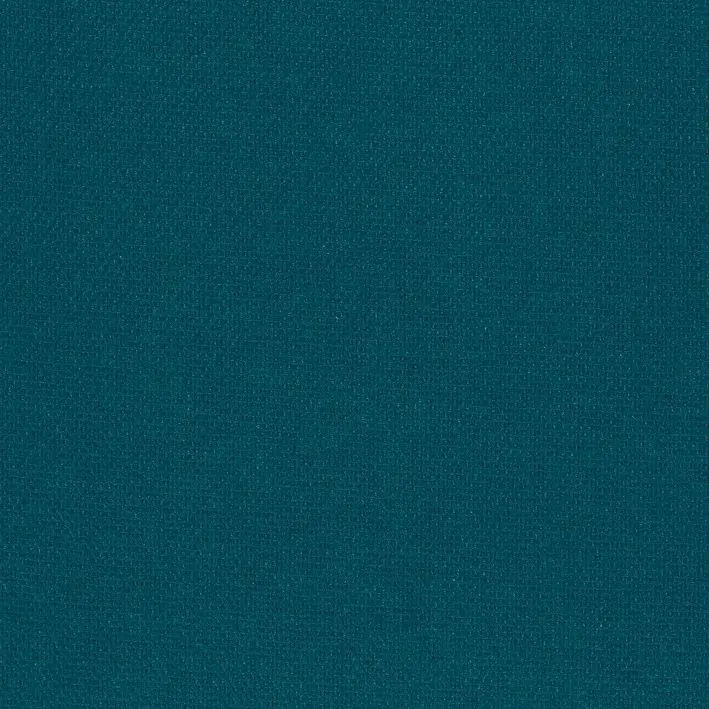 Peacock 19 | Roger