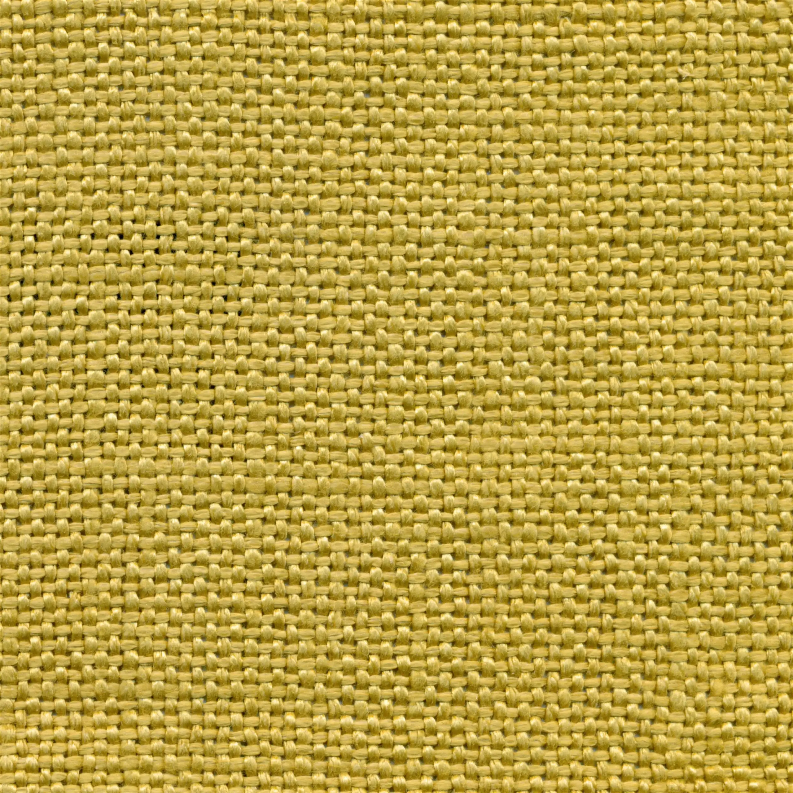 Bamboo 25 | Salma