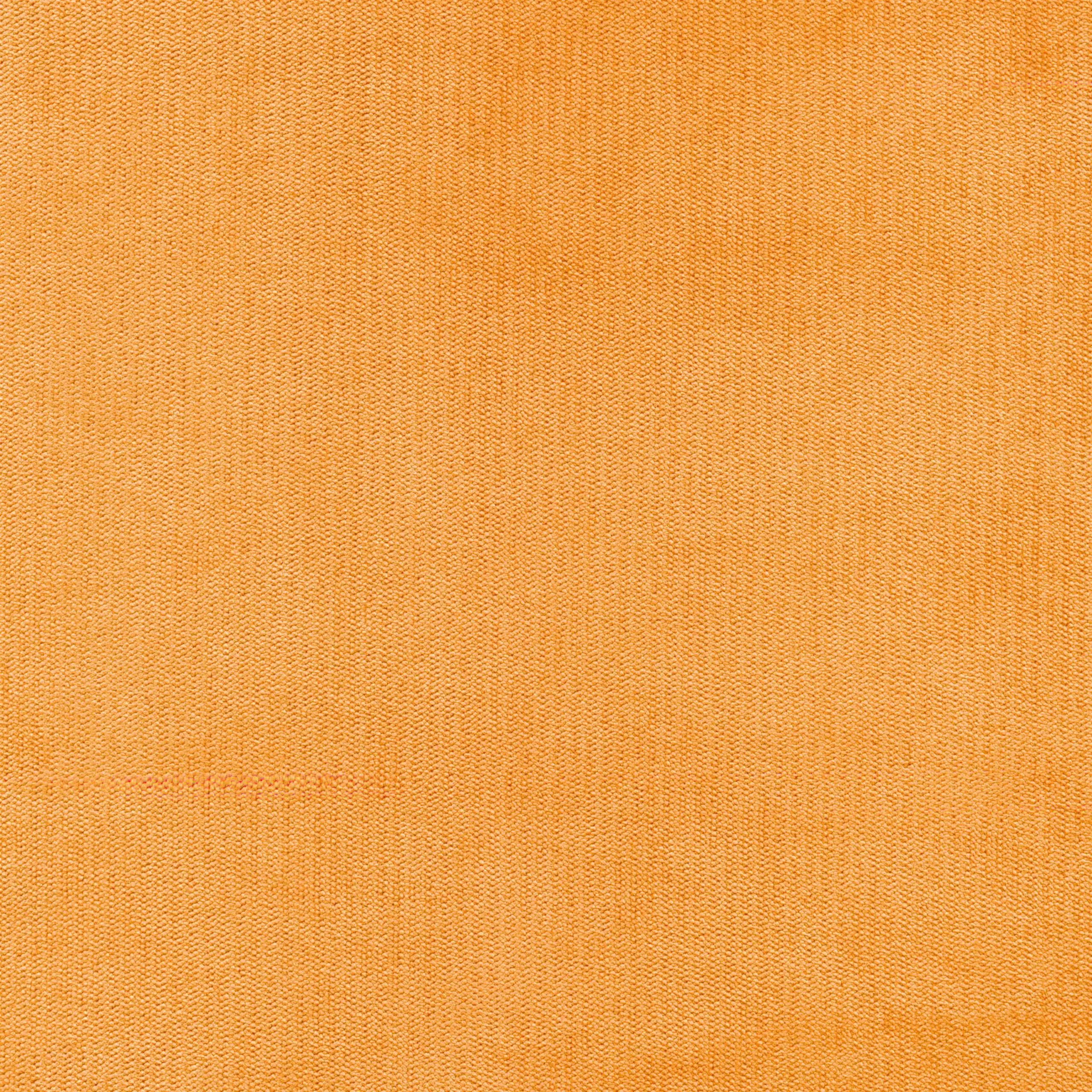 Topaz 11 | Palmer
