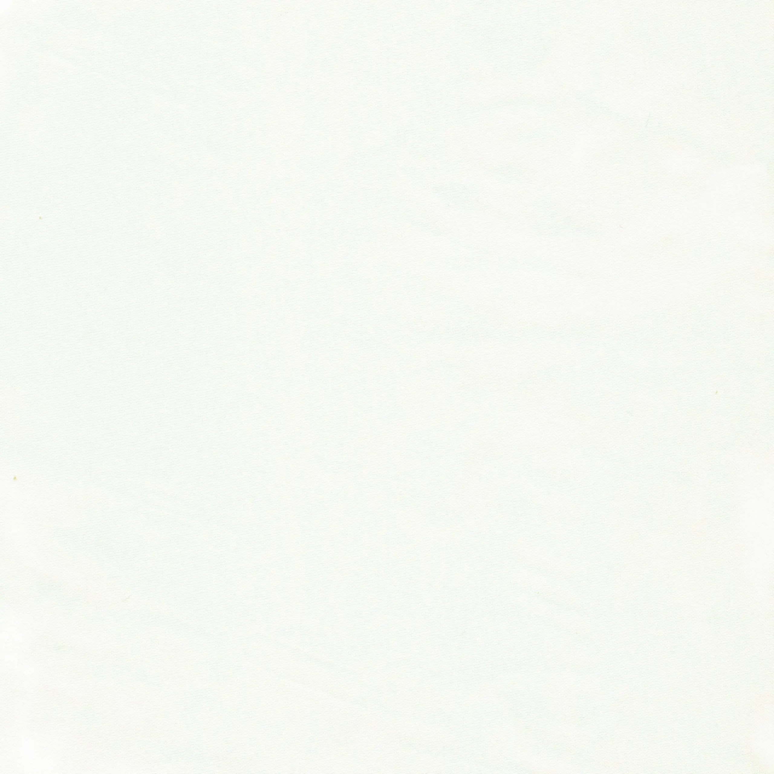 Ivory 03 | Mirage