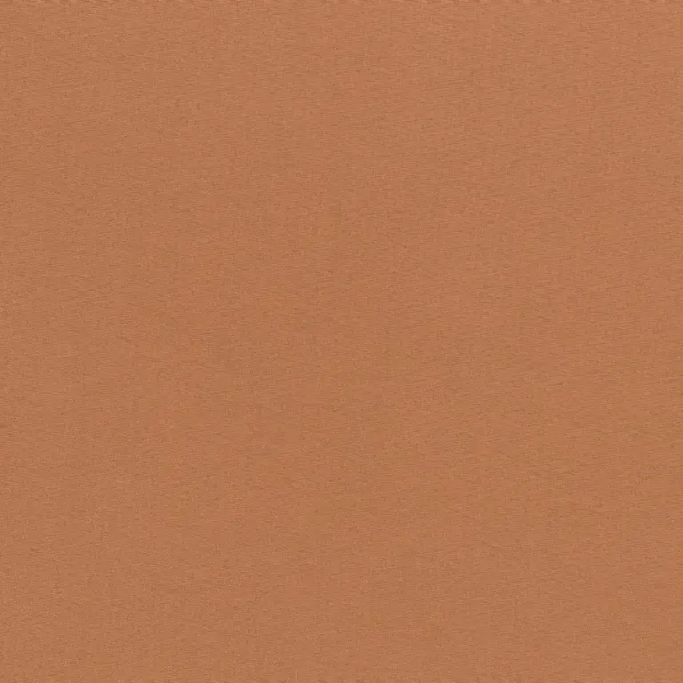 Camel 72