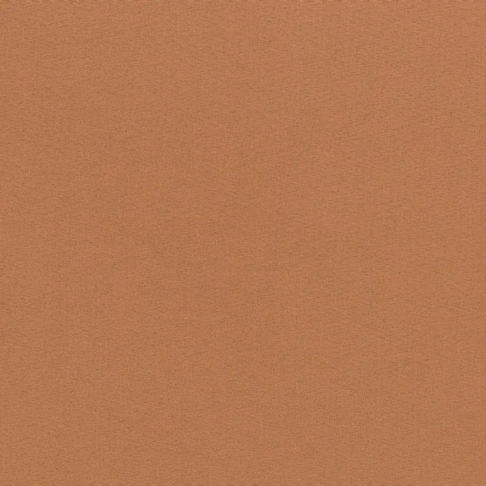 Camel 72 | Leda