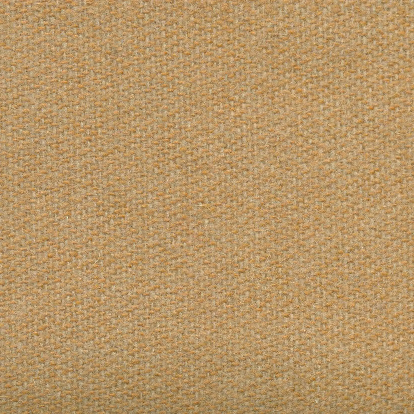 Buff 536 | Savoy FR
