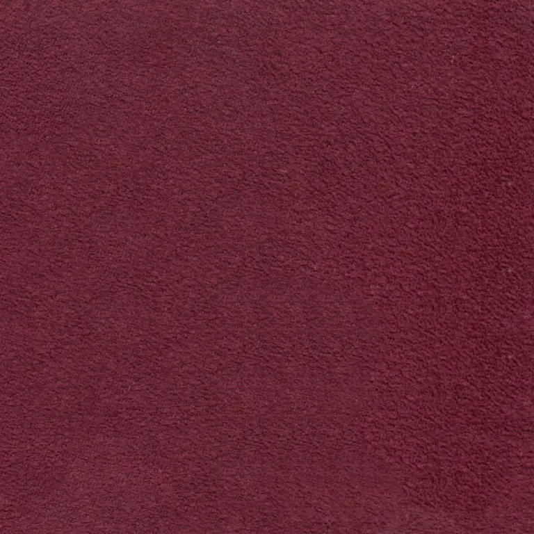 Aubergine 713