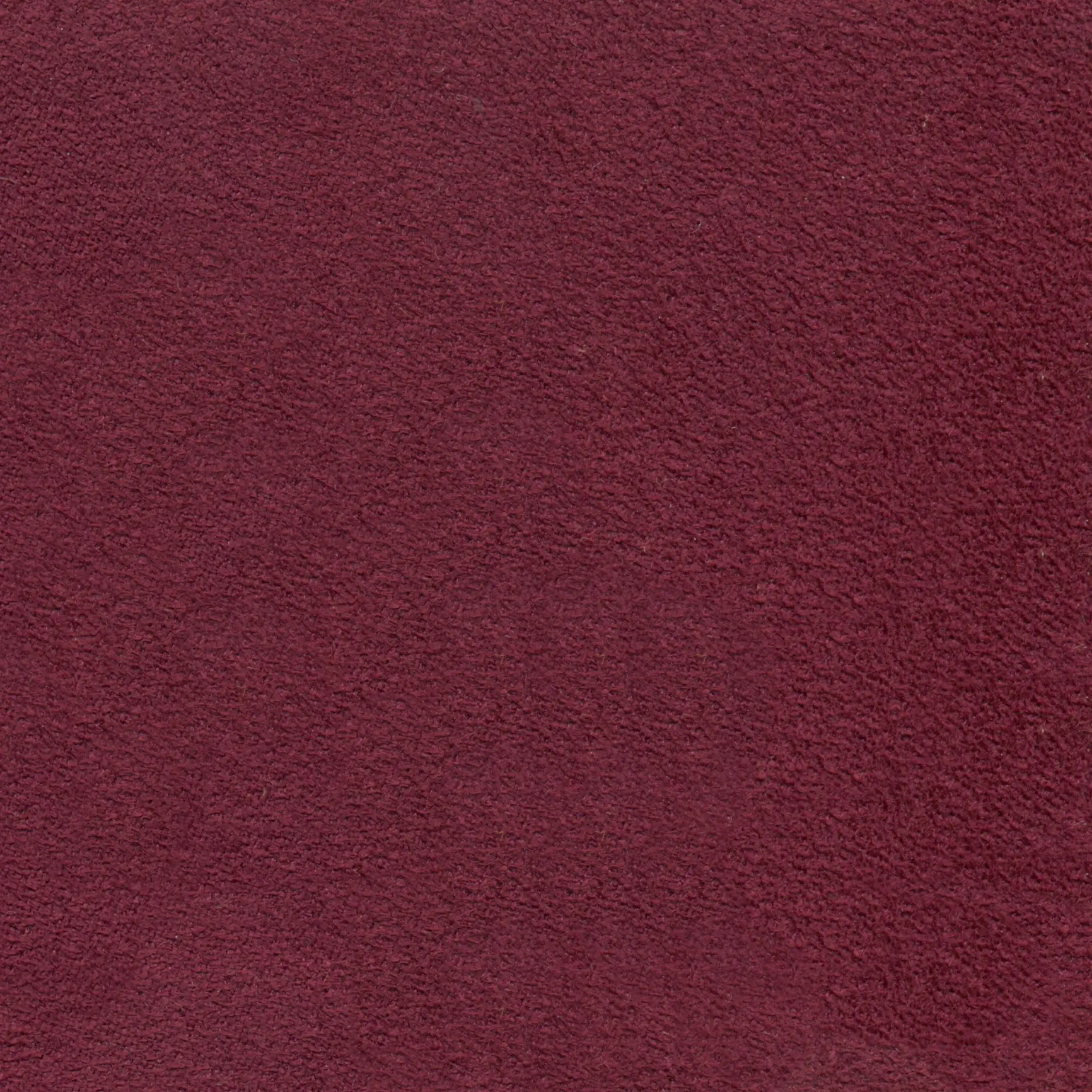 Aubergine 713 | Mors