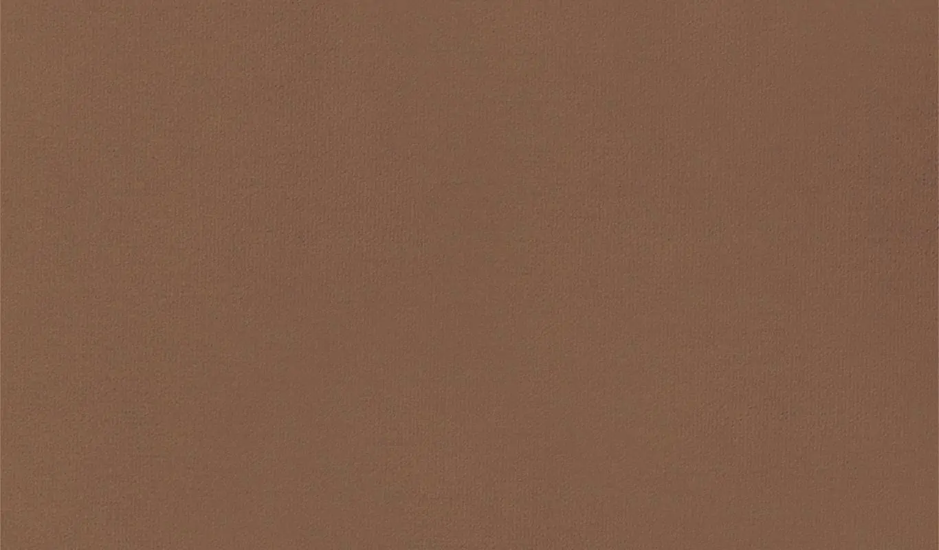 Taupe 71 | Renard