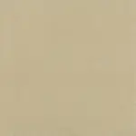 Beige 17 | Renard