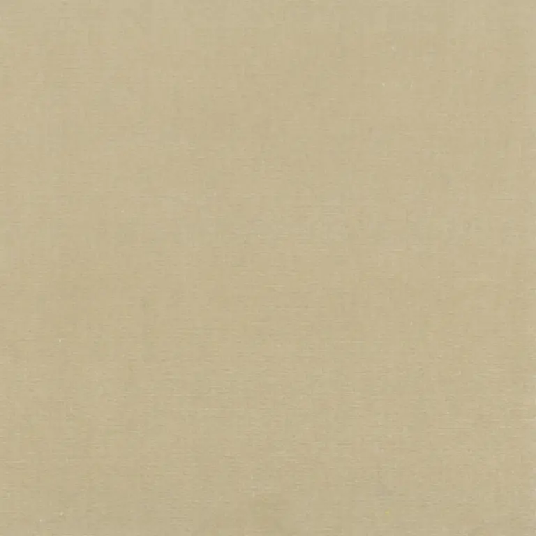 Beige 17