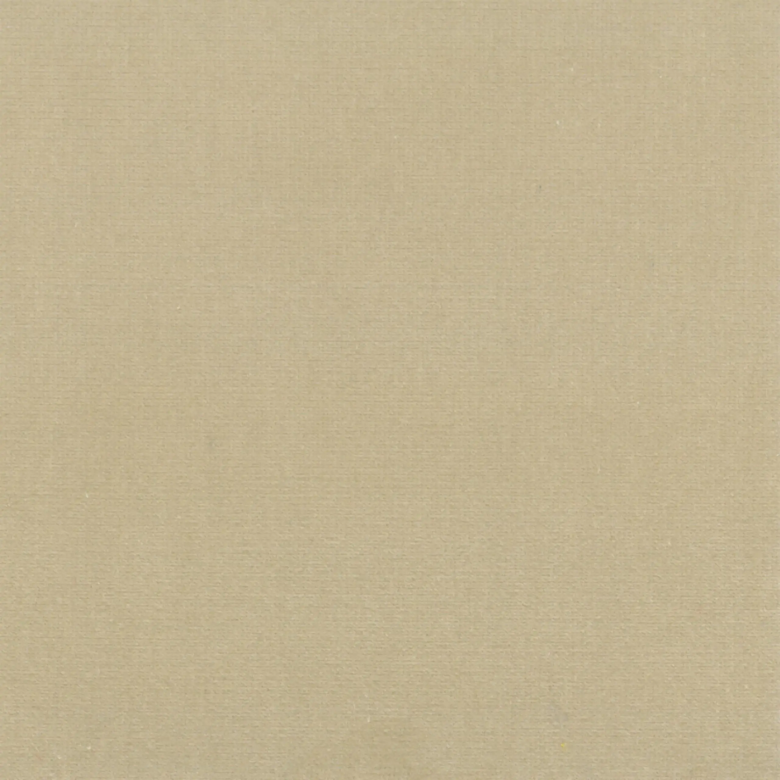 Beige 17 | Renard