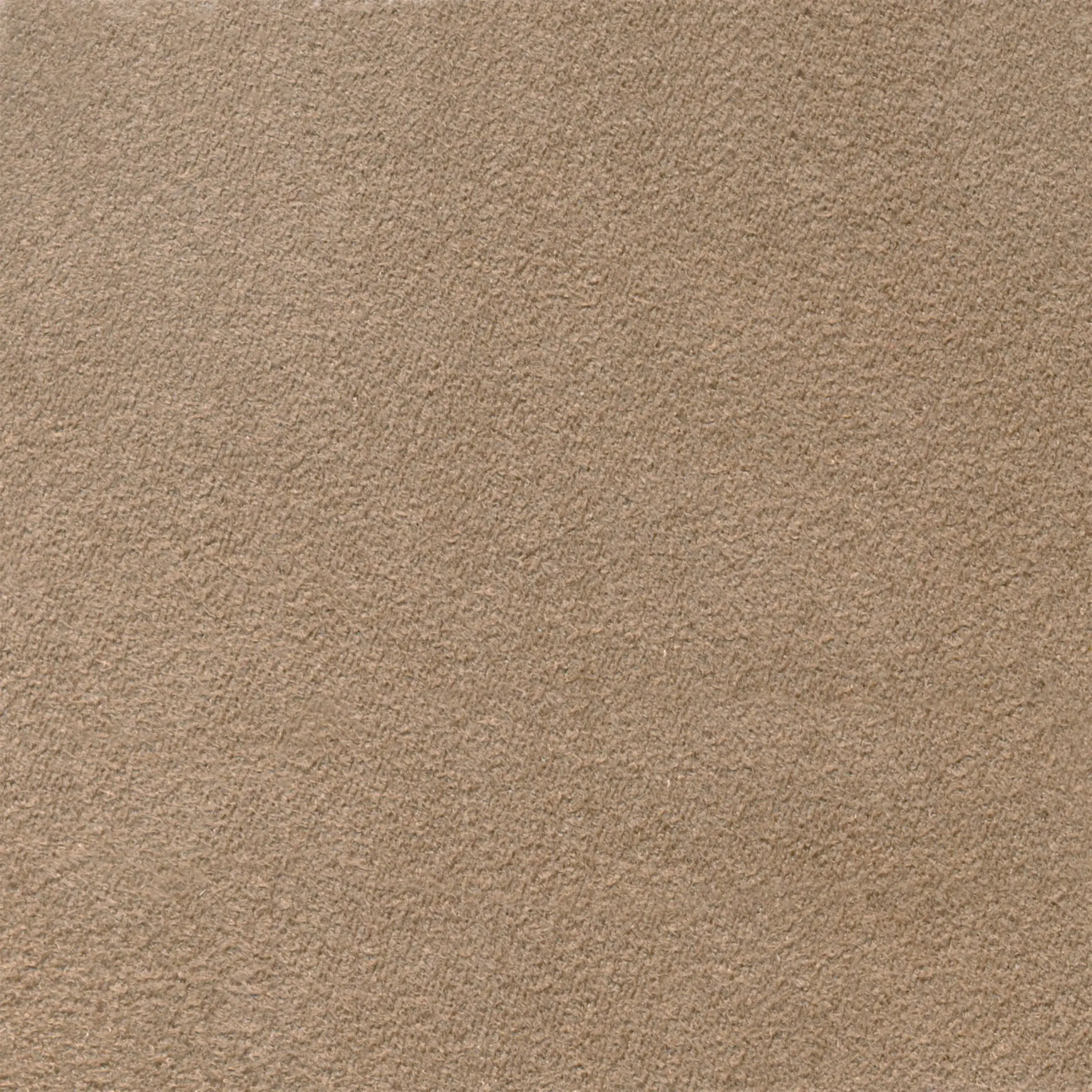 Almond 121 | Mors