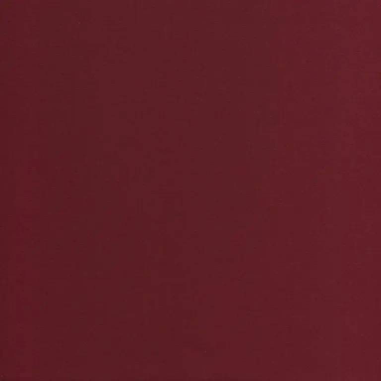 Aubergine 43