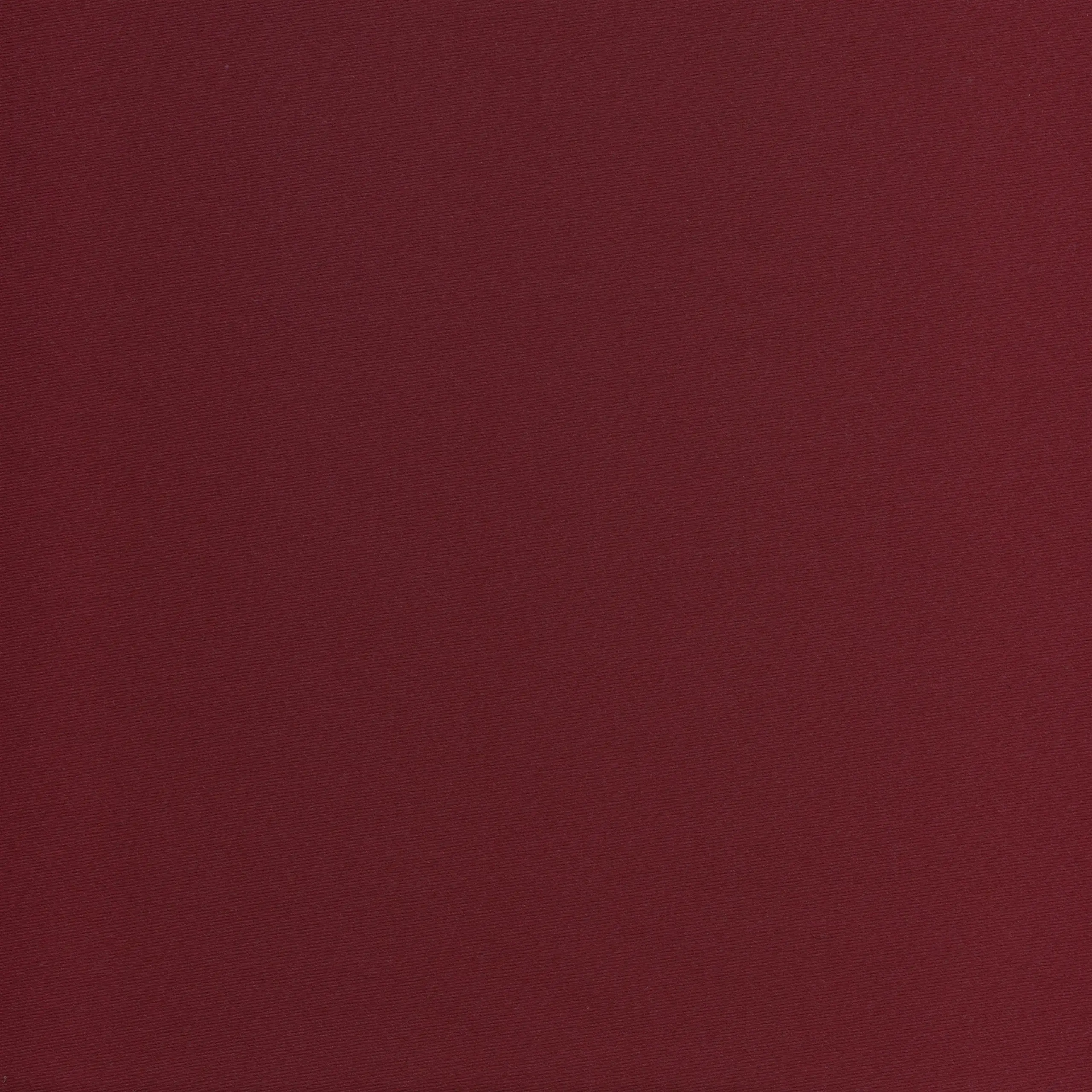 Aubergine 43 | Salome