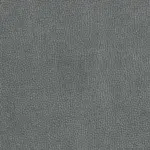 Ash 059 | Nestor