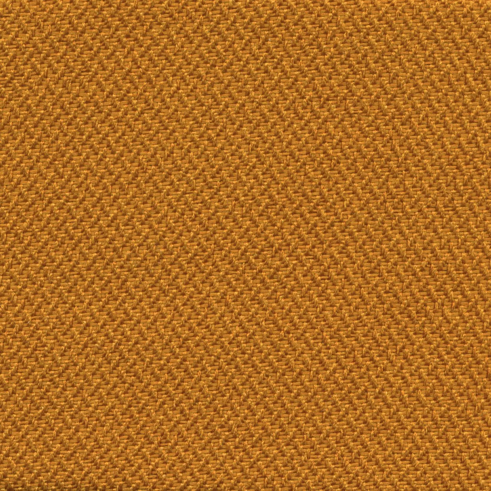 Gold 301 | Meteor