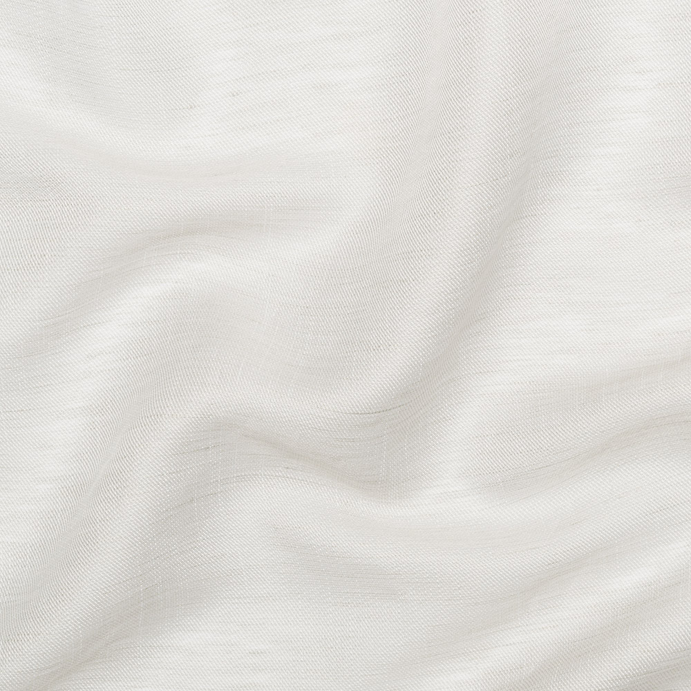 Oyster Mushroom 08 | Sabbia
