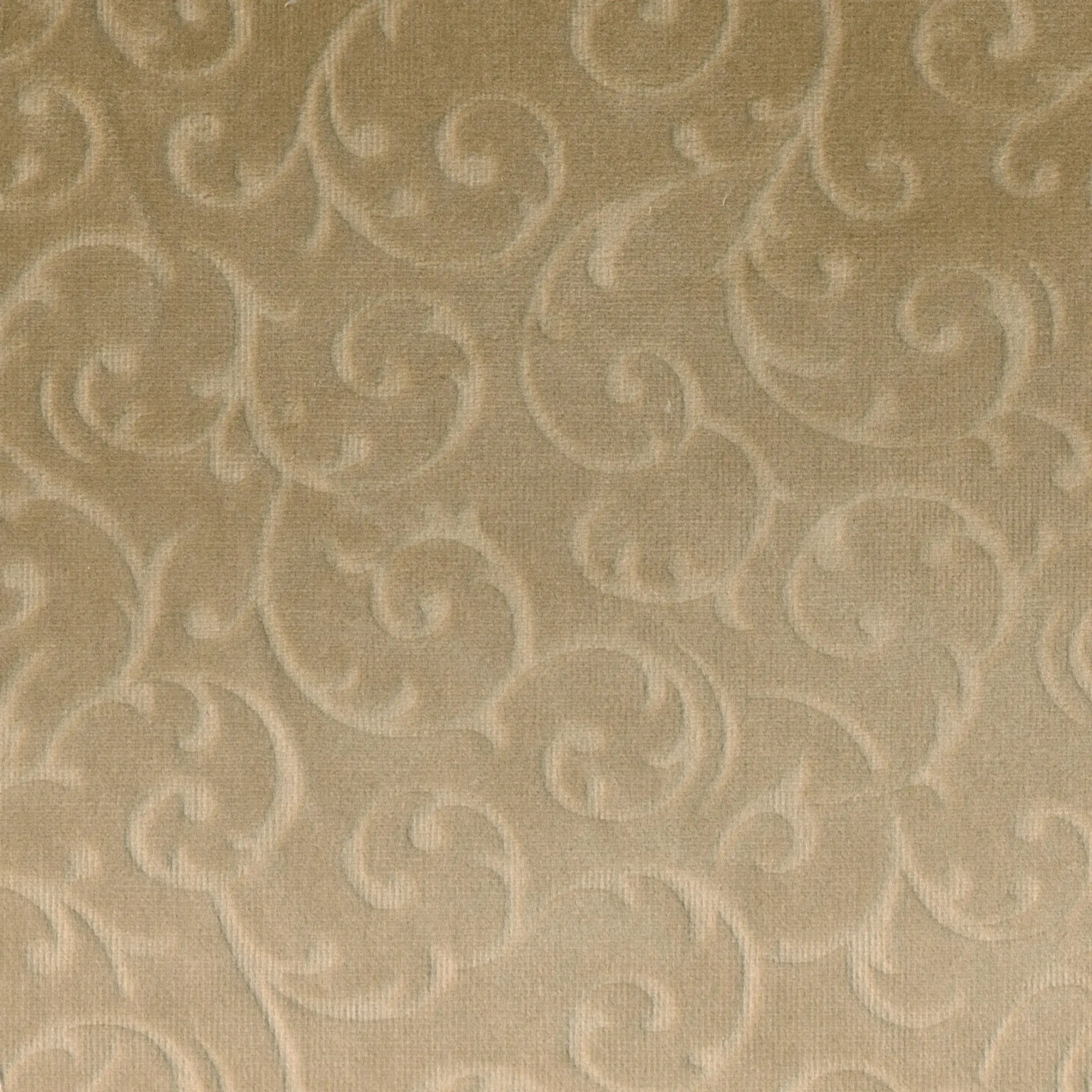 Beige 71 | Yasmin