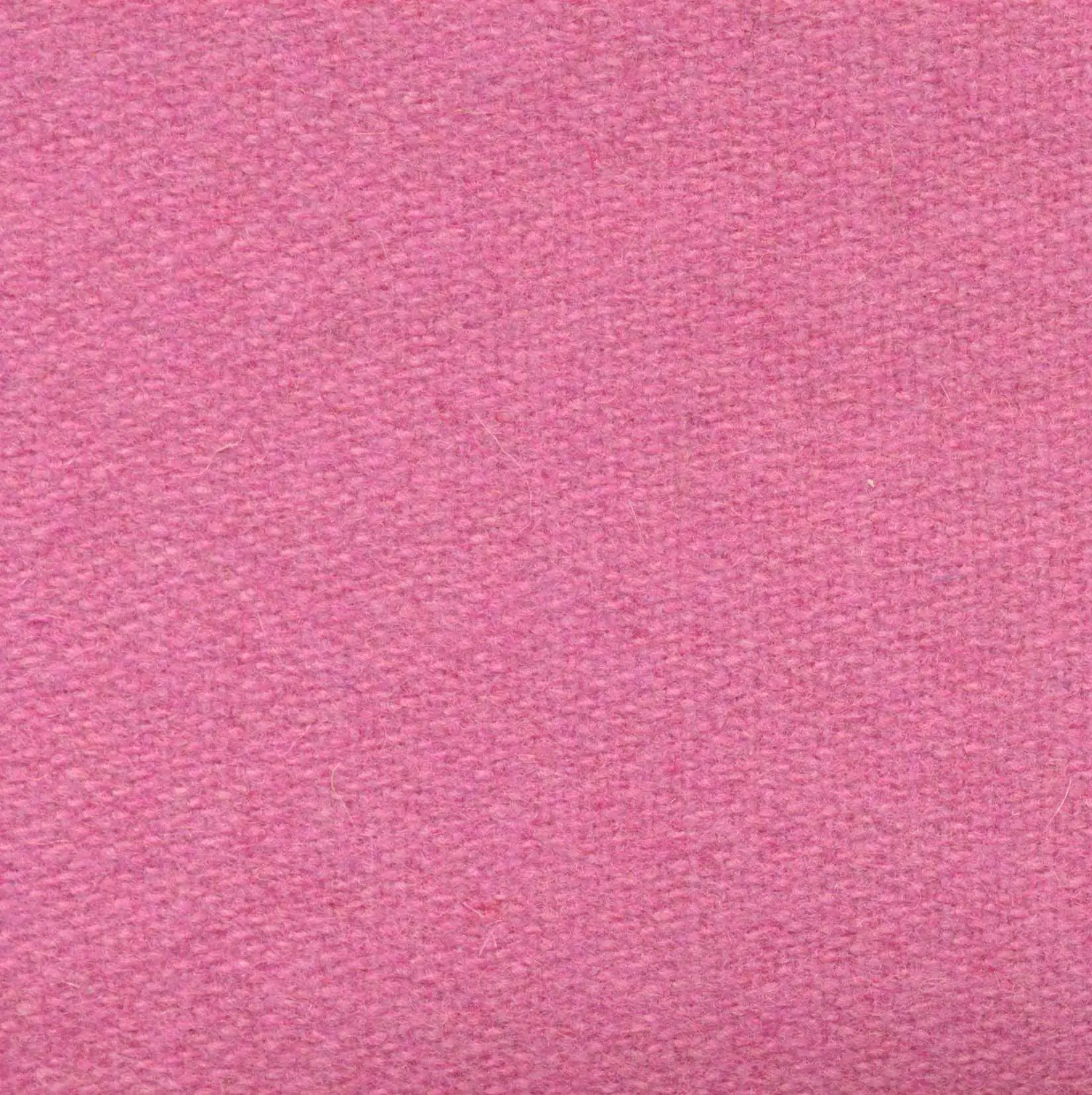 Pinky 447 | Savoy FR