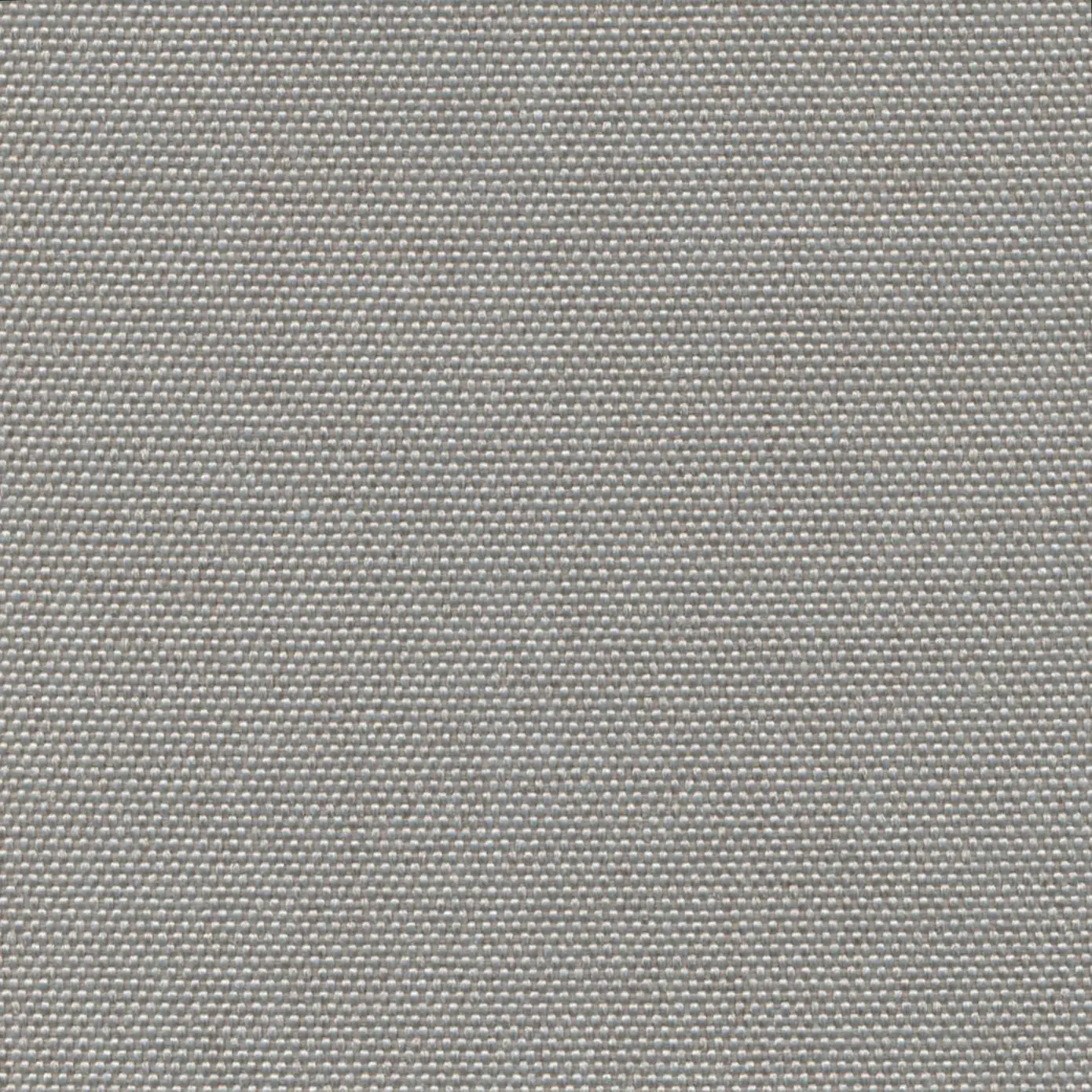 Dove 903 | Petrus