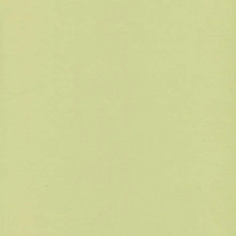 Leaf 255