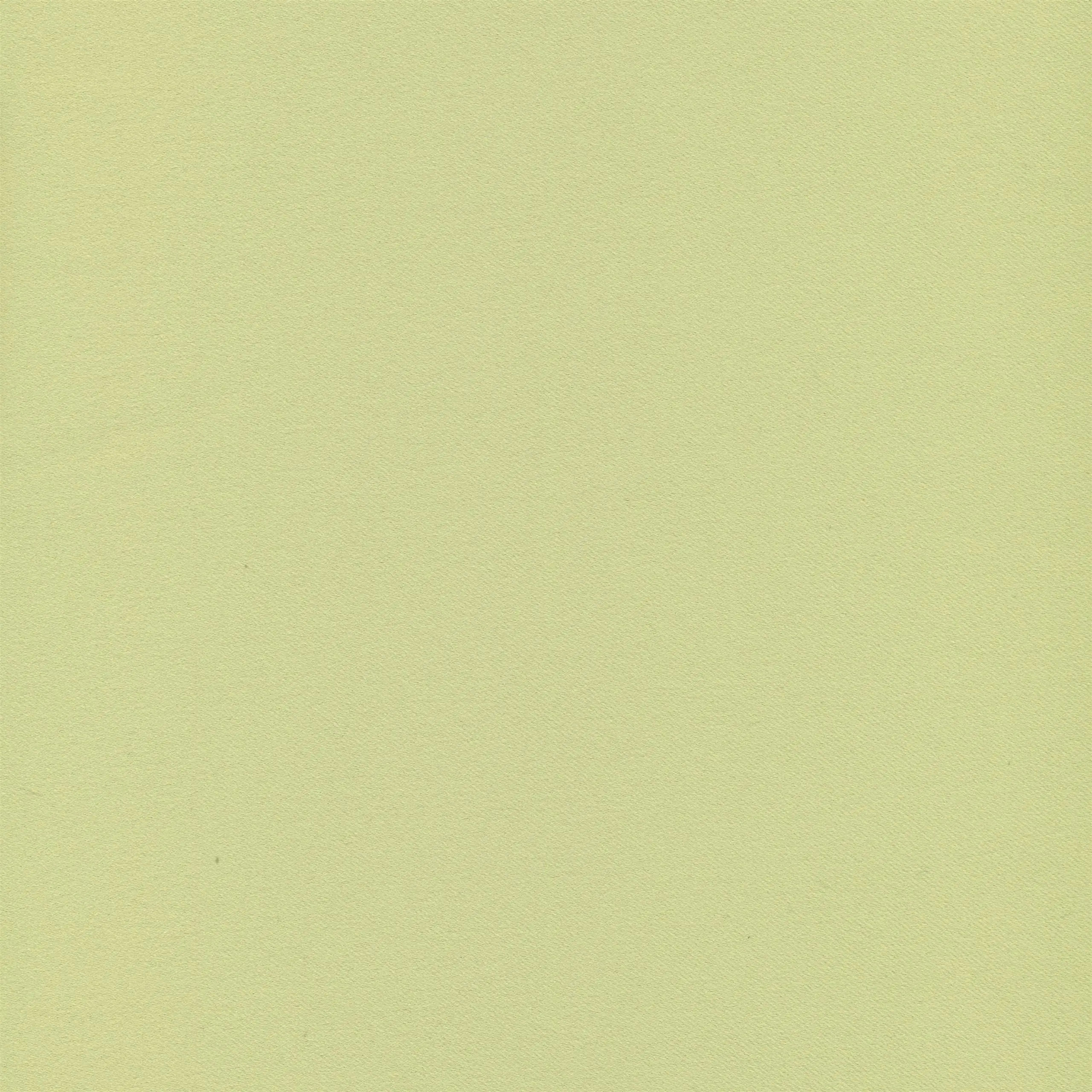 Leaf 255 | Moonlight