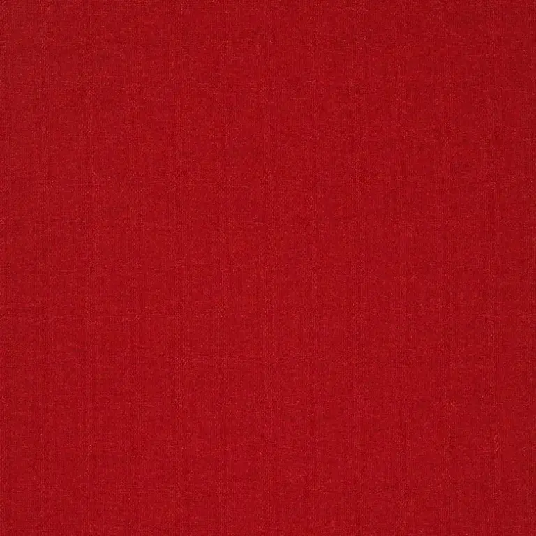 Vino 24