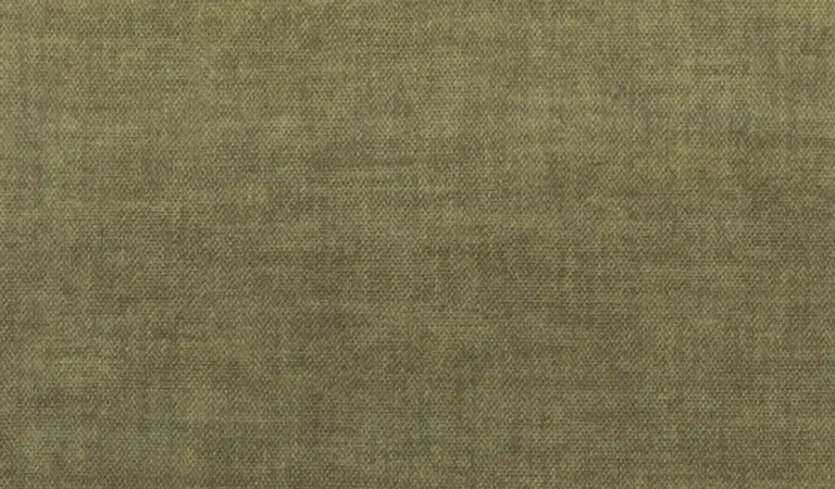 Olive 10
