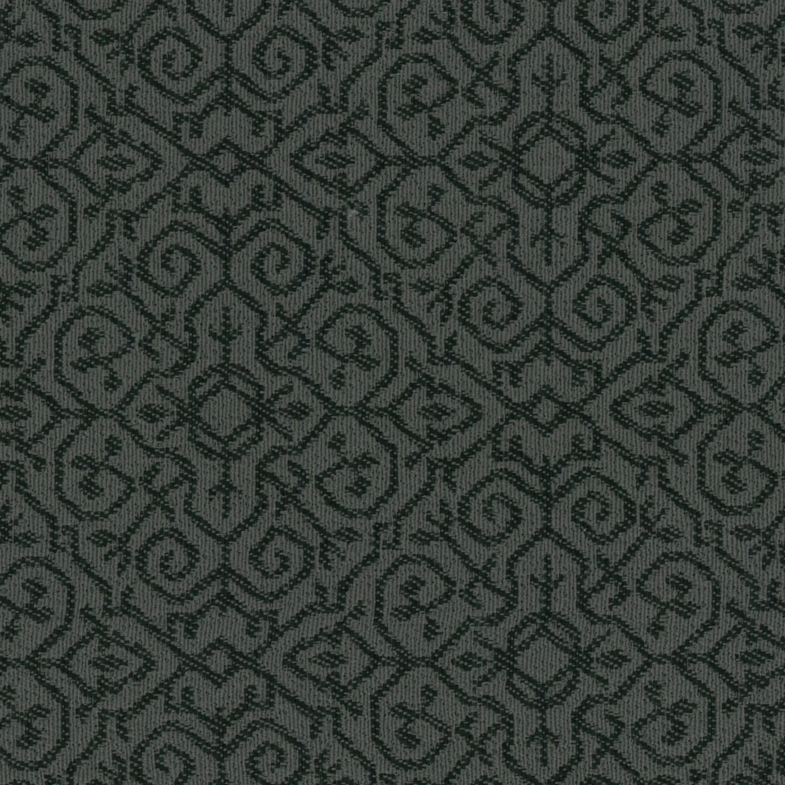 Grey 26 | Otto
