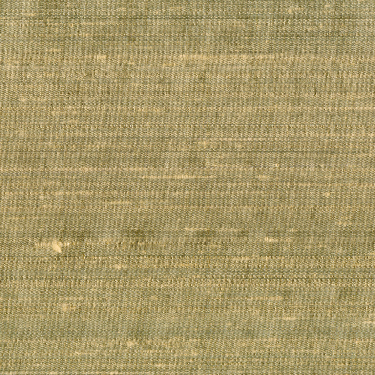 Seagrass 003