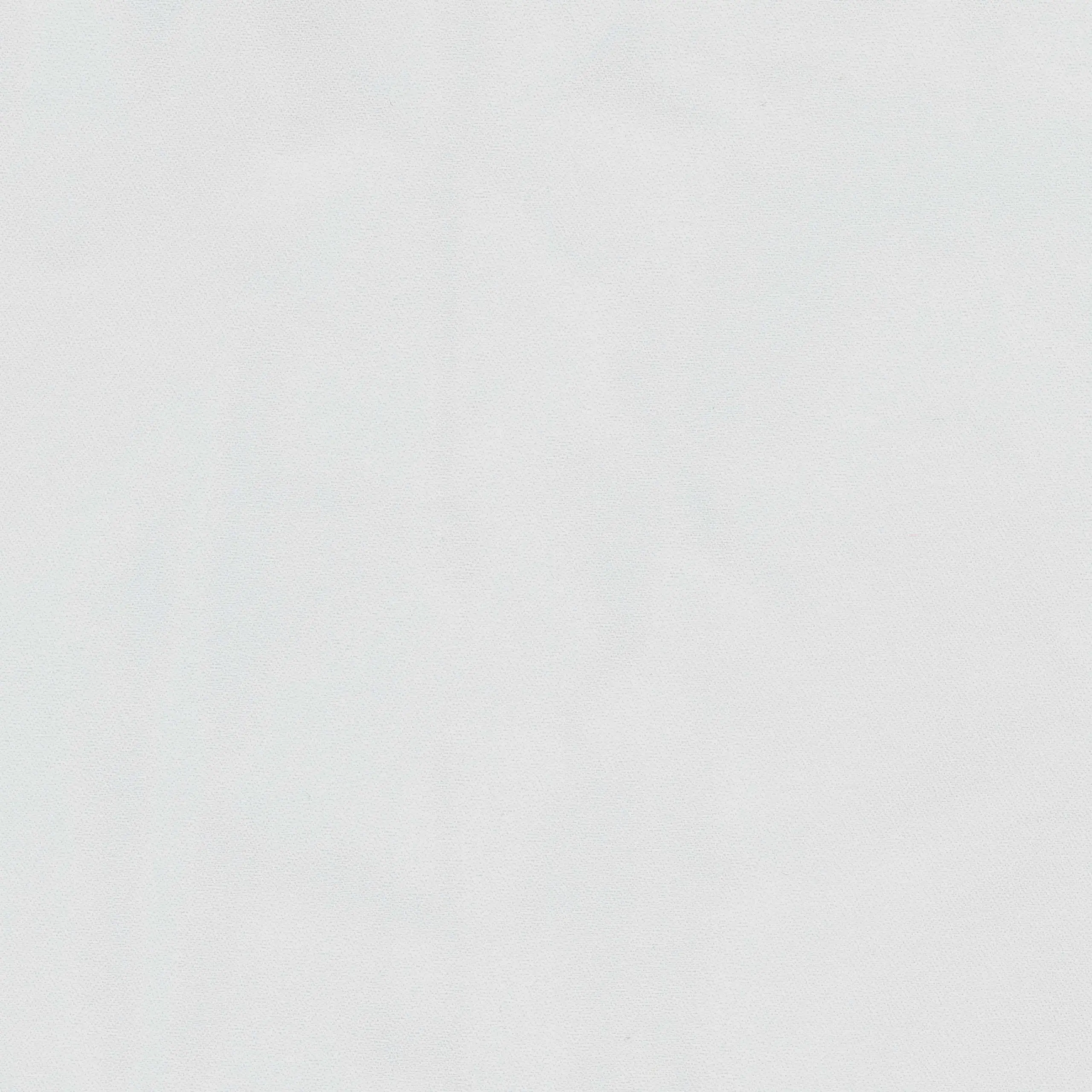 Silver 09 | Maya