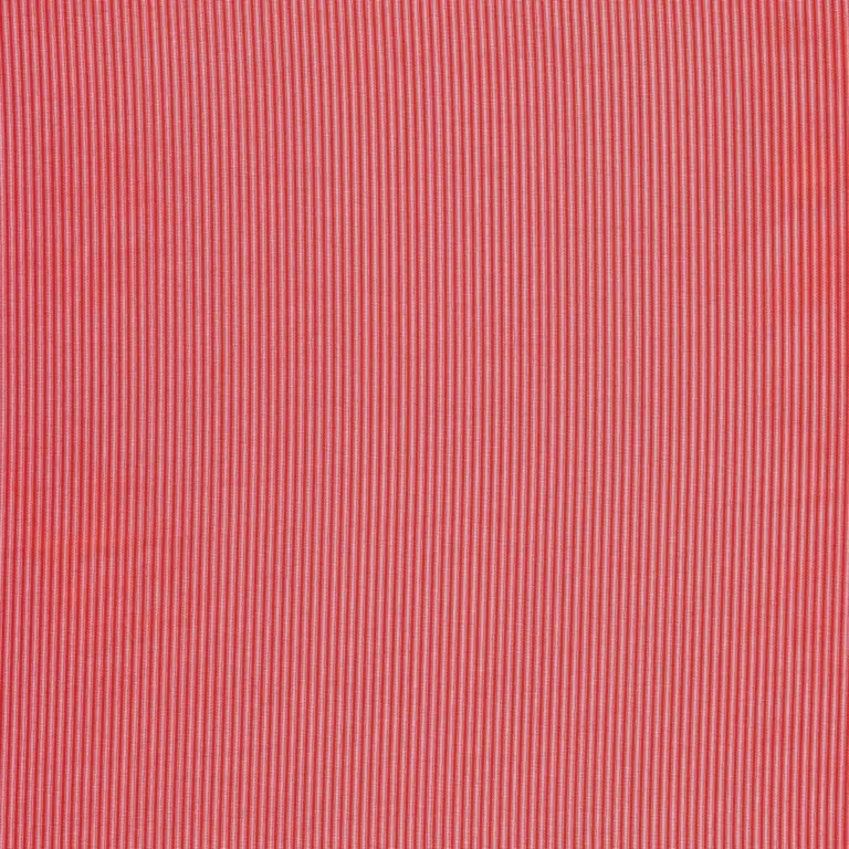 Strawberry 22