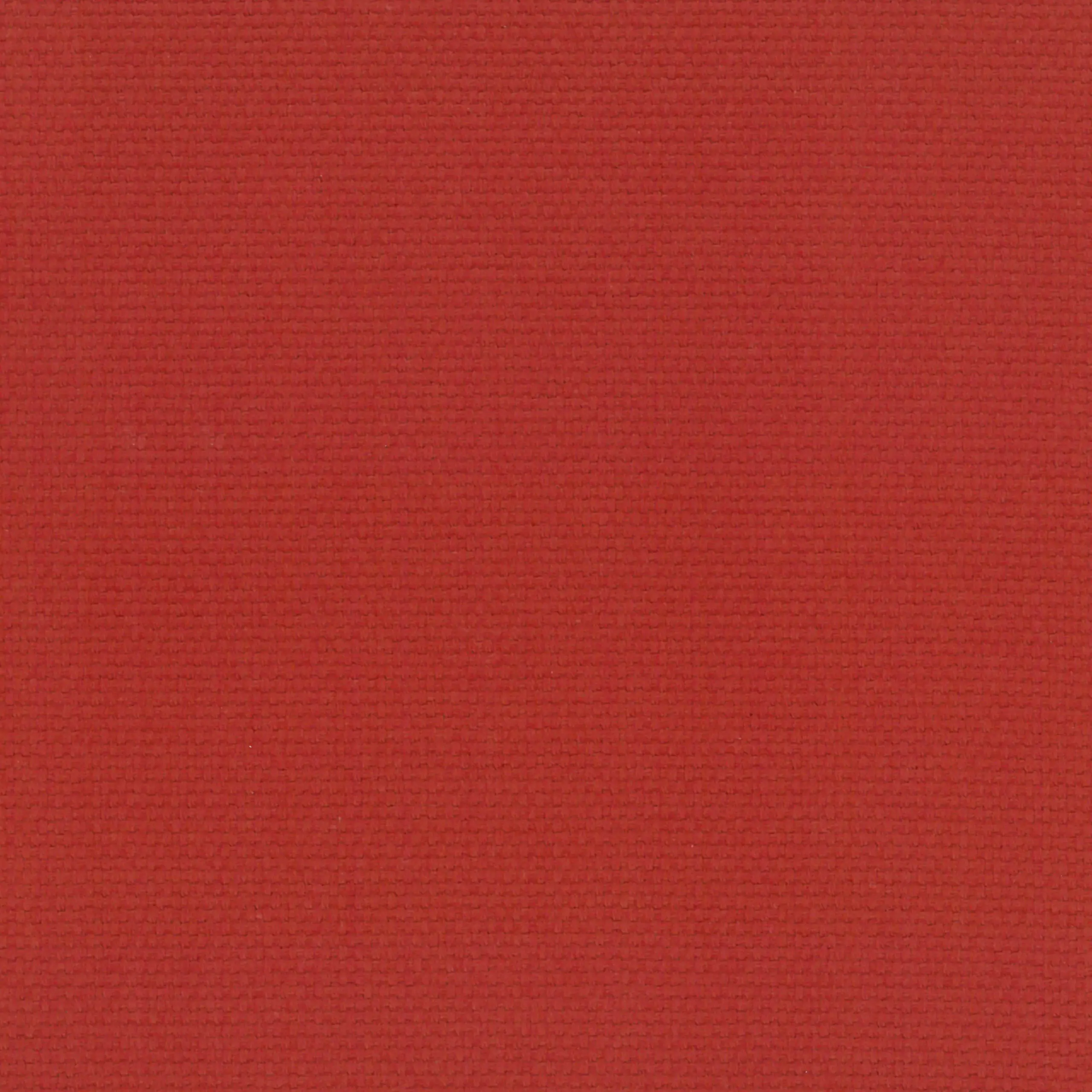 Redwood 12 | Ringo