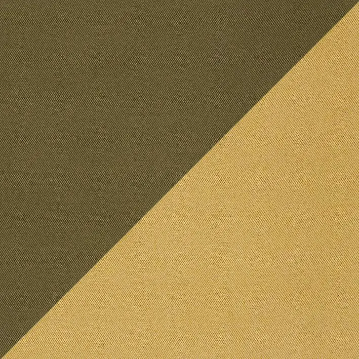 Turtle 37