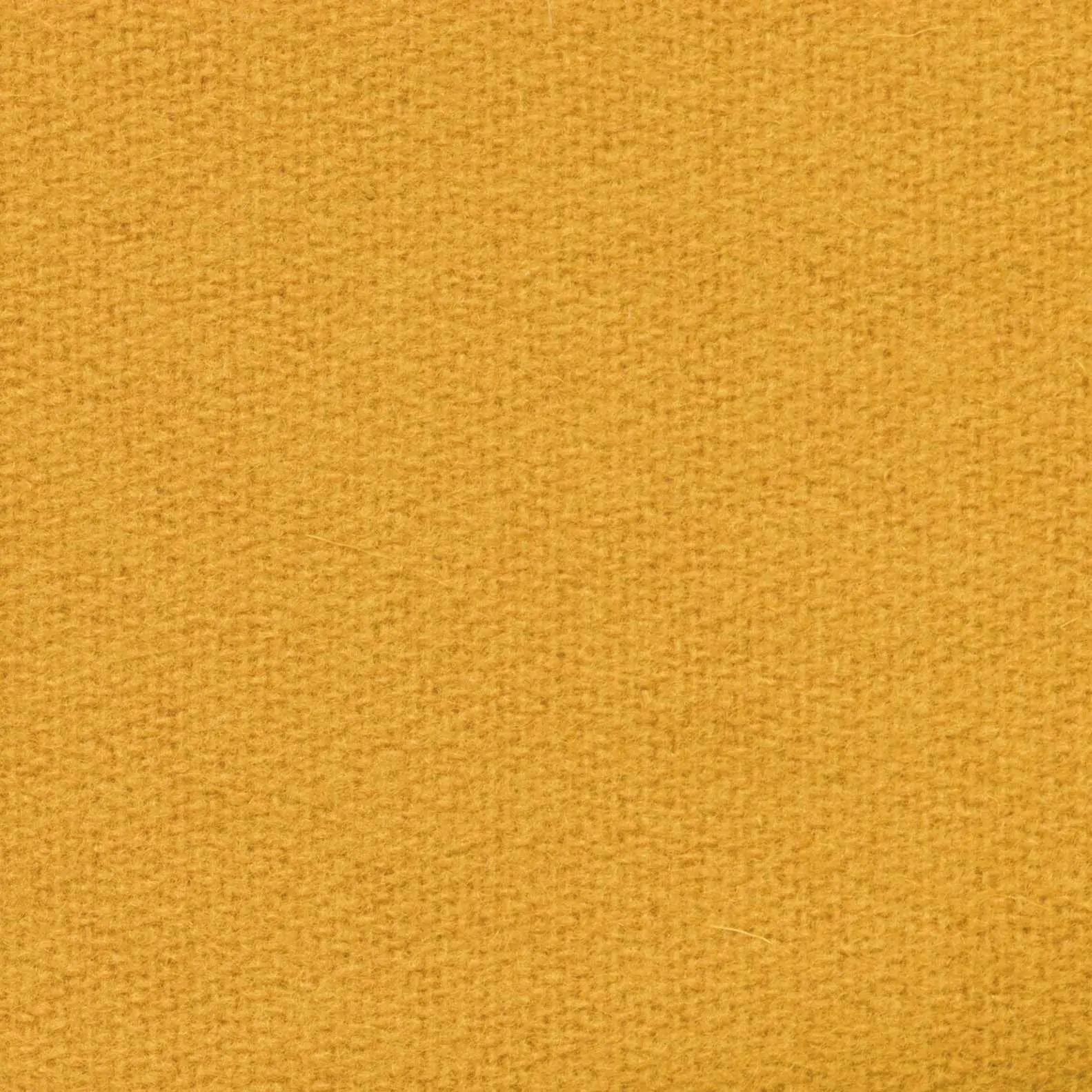 Gold H473 | Savoy FR