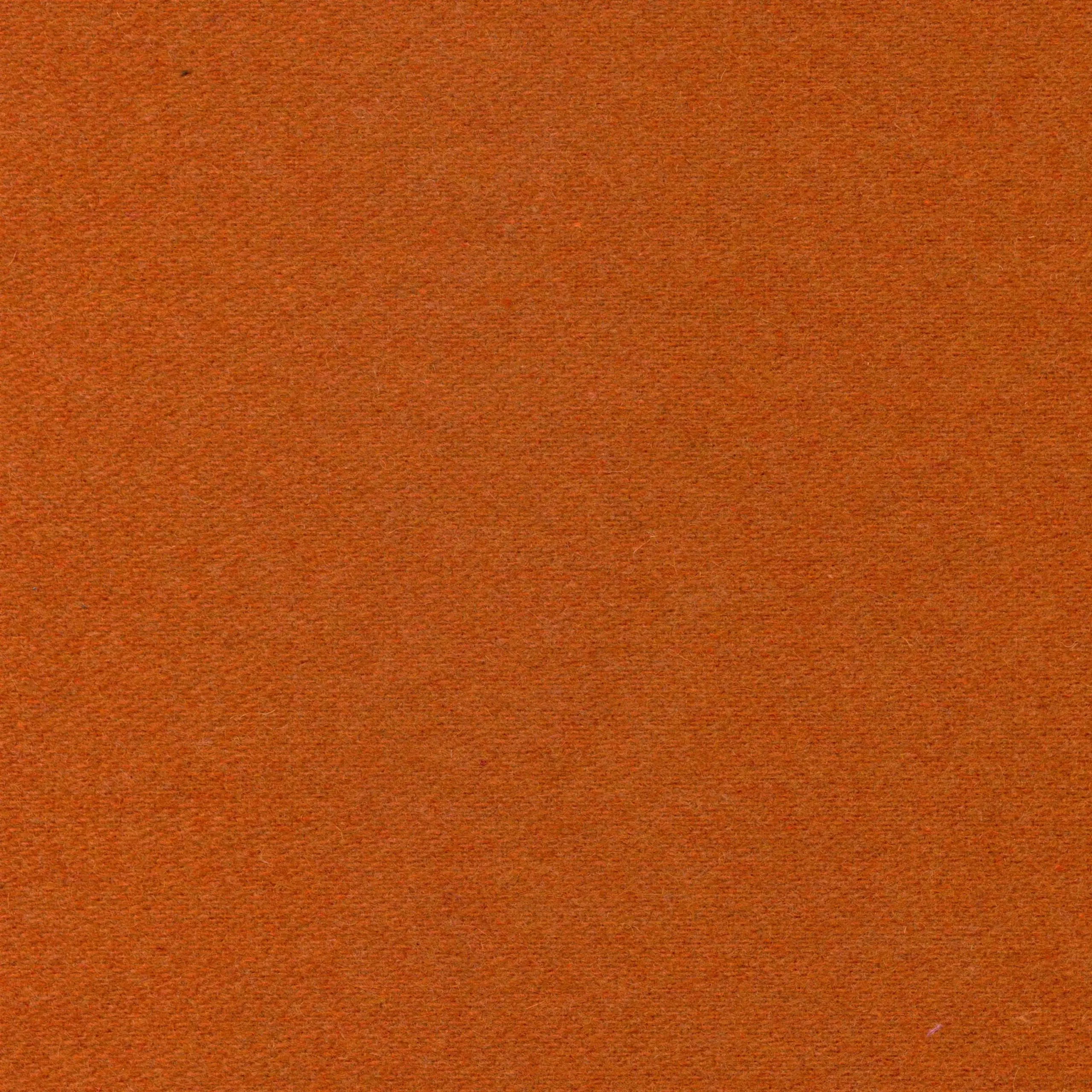 Terracota 15 | Wool